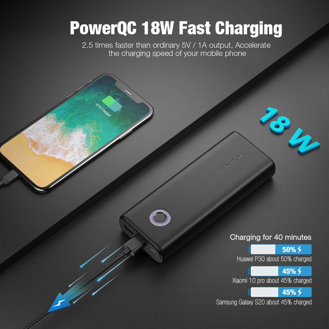 Poweradd Dual-Energy Cell 20000mAh Mobile Power